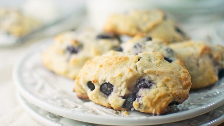 Blueberry Lemon Ricotta Scones Little Figgy Food