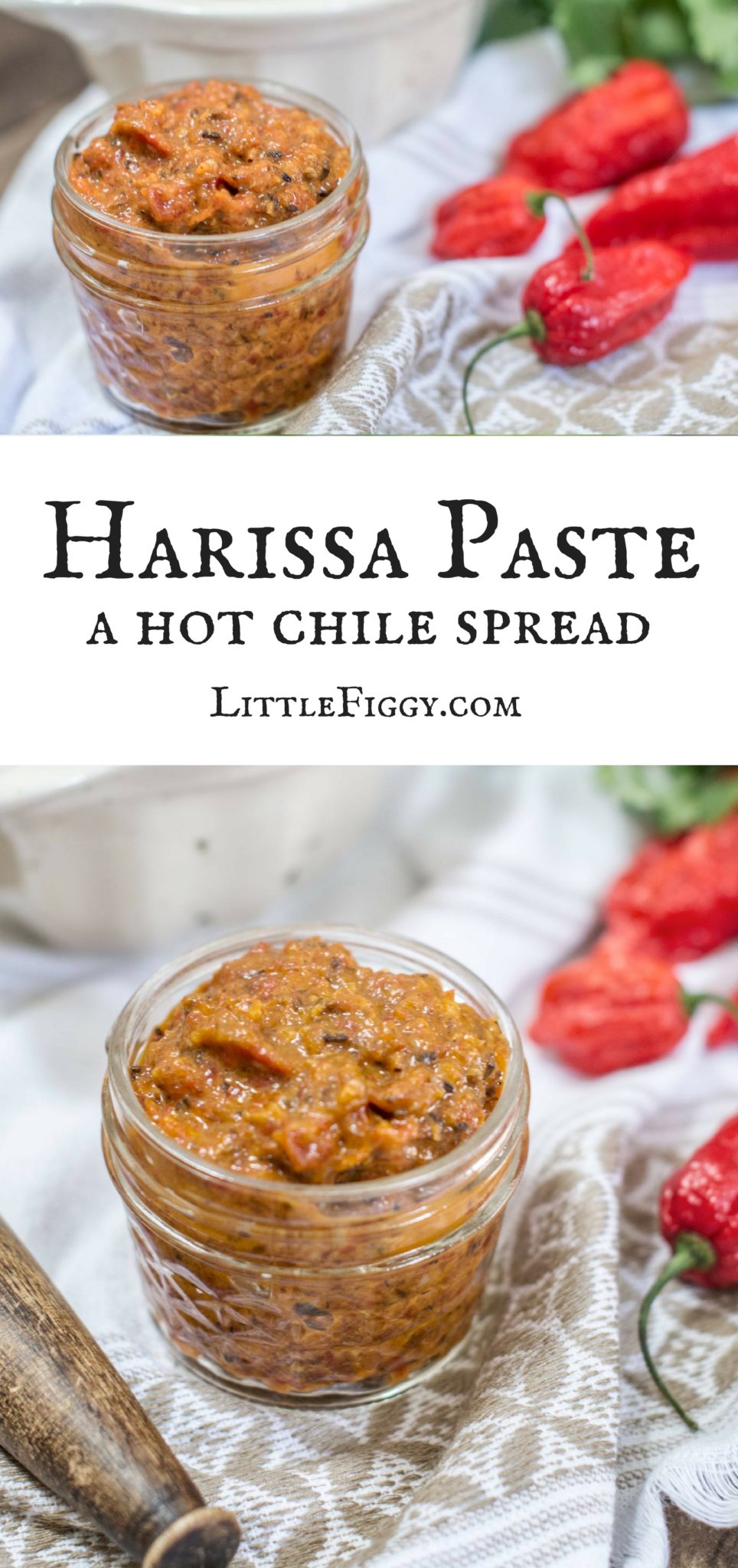 Try making this spicy and gorgeous flavored Harissa Paste, that is great used as a marinade, added to soups and stews or as a dipping sauce on the side when you need an extra bit of heat added. Find the Recipe at Little Figgy Food.