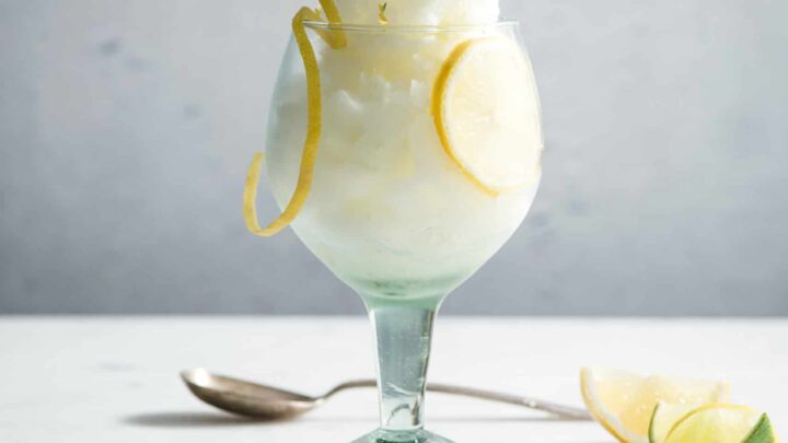 Gin and tonic discount sorbet ice cream machine