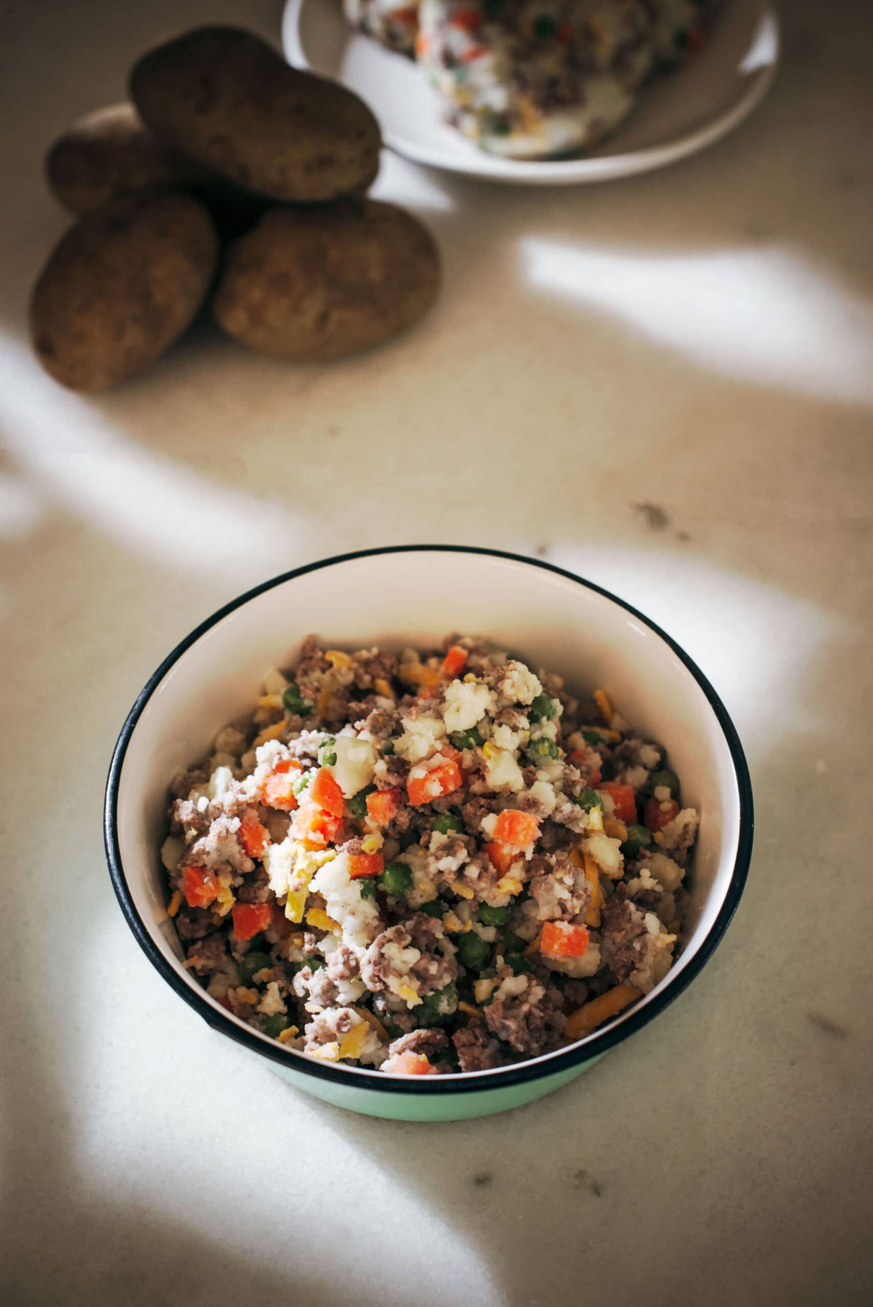 Cottage Pie Pet Food in a Bowl